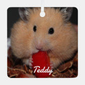 シリアのペットのハムスター – 標準ハムスター – クリーム メタルオーナメント (正面)