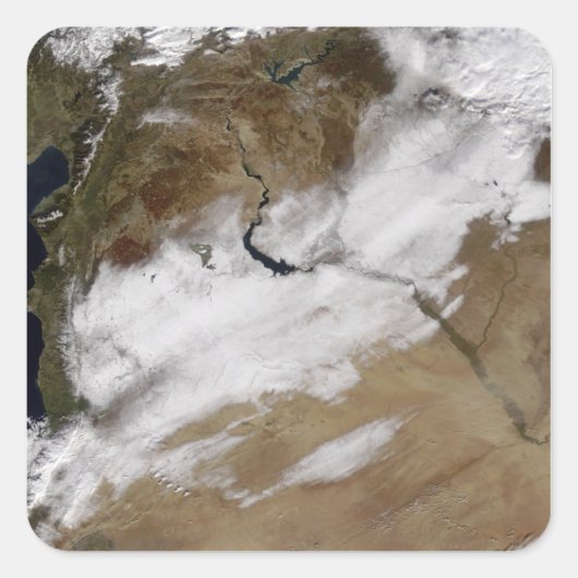 シリアの雪 スクエアシール (正面)