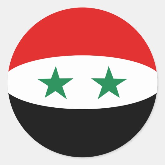 シリアの魚眼フラグステッカー ラウンドシール (正面)
