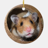 シリアペットハムスター-標準ハムスター-テディベア セラミックオーナメント (裏面)