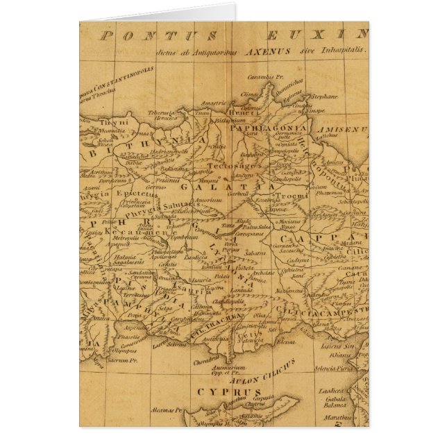 シリア，アジア未成年 (正面)