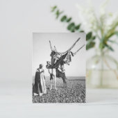 シリア,ベドウィンの男とラクダ ポストカード (スタンド正面)