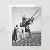 シリア,ベドウィンの男とラクダ ポストカード (正面/裏面)