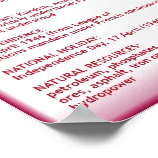 シリア ポスター (角)