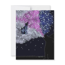 シリウスとの夏の夜