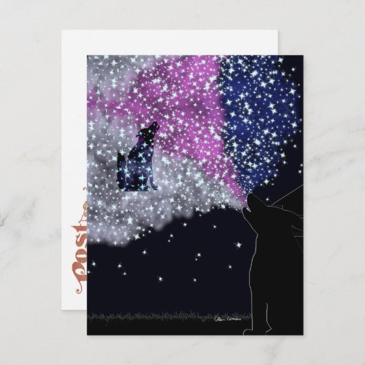 シリウスとの夏の夜 シーズンカード (正面/裏面)