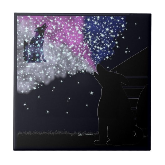 シリウスとの夏の夜 タイル (正面)