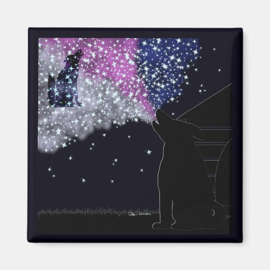 シリウスとの夏の夜 マグネット (正面)