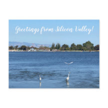 シリコンバレーからの挨拶！