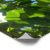 シリンガ、薄紫の花 ポスター (角)