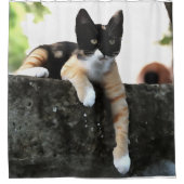 シリン·トリカラーの猫のペットポルタイト シャワーカーテン (正面)