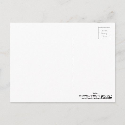 シリン… ポストカード (裏面)