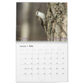 シリーズの裏庭の鳥のカレンダー第2 カレンダー (1月 2026)