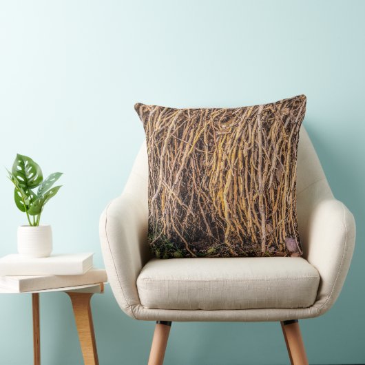 シリーズ装飾用クッションで5を削除 クッション (椅子)