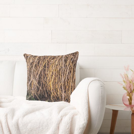 シリーズ装飾用クッションで5を削除 クッション (ソファ)