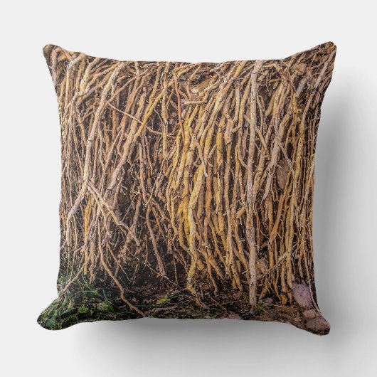 シリーズ装飾用クッションで5を削除 クッション (正面)