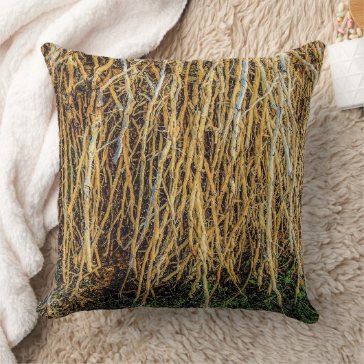 シリーズ装飾用クッションの根を外した3 クッション (ブランケット)