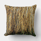 シリーズ装飾用クッションの根を外した3 クッション (正面)