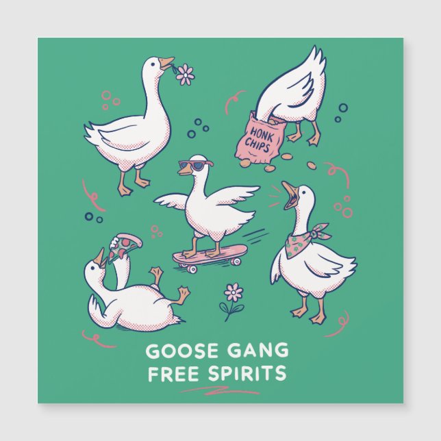 シリー・グース・ギャング おもしろガチョウTシャツ (正面)