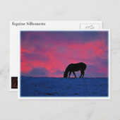 シルエウマ科のット ポストカード (正面/裏面)