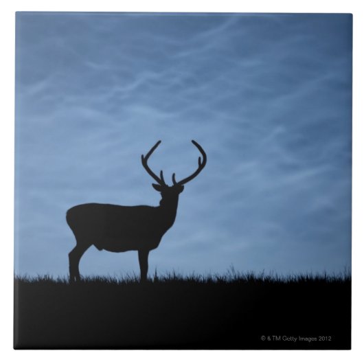 シルエットの赤い鹿が夜にシカを止めた タイル (正面)