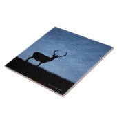 シルエットの赤い鹿が夜にシカを止めた タイル (側面)