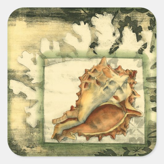 シルエットコンチシェル スクエアシール (正面)