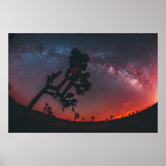 シルエットツリーの魚眼写真 ポスター (正面)