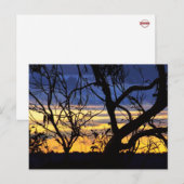 シルエットツリースカイスケープポストカード ポストカード (正面/裏面)