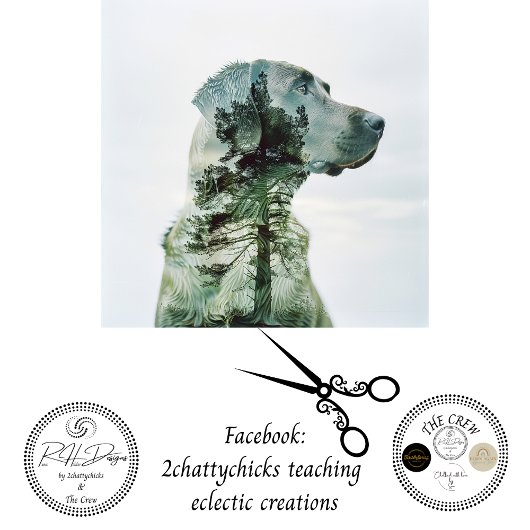 シルエットラボ露出フィルムの分離 薄葉紙