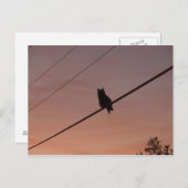 シルエット美しい ポストカード (正面/裏面)