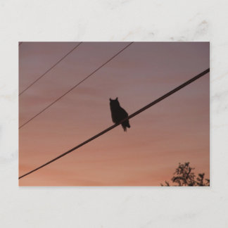 シルエット美しい ポストカード