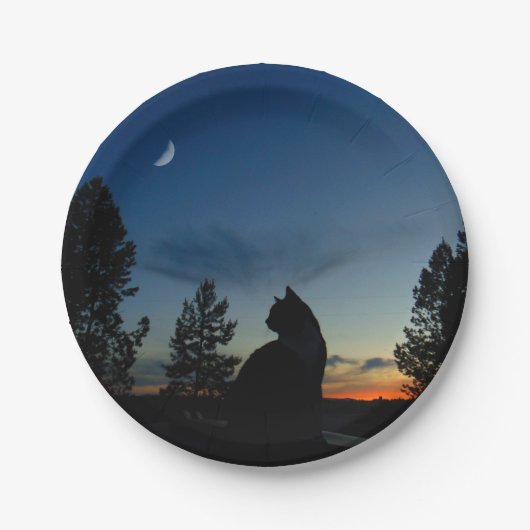 シルエット ペーパープレート (正面)