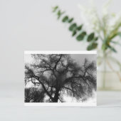 シルエット ポストカード (スタンド正面)