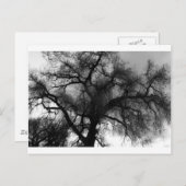 シルエット ポストカード (正面/裏面)