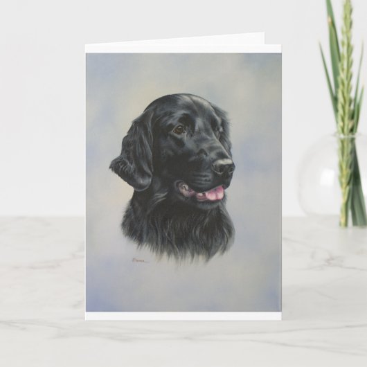 シルカ カード (正面)