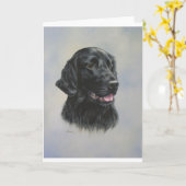 シルカ カード (黄色い花)