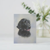 シルカ ポストカード (スタンド正面)