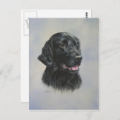 シルカ ポストカード (正面/裏面)