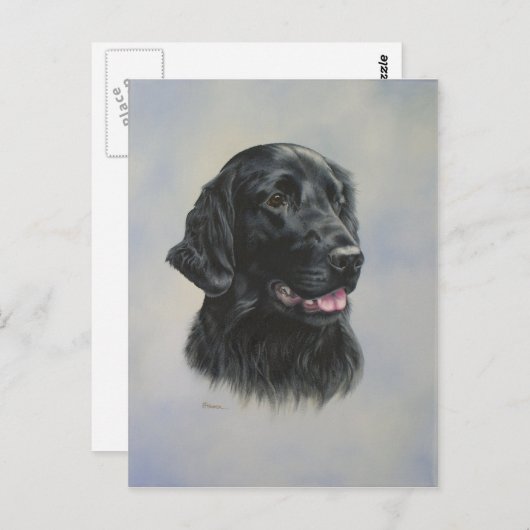 シルカ ポストカード (正面/裏面)