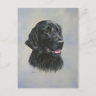 シルカ ポストカード