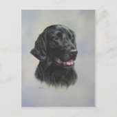 シルカ ポストカード (正面)