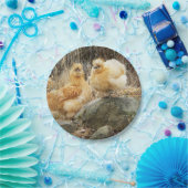 『シルキーの鳥』 ペーパープレート (パーティー)