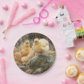 『シルキーの鳥』 ペーパープレート (パーティー)