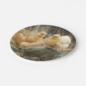 『シルキーの鳥』 ペーパープレート (アングル)