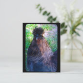 シルキーの鶏のフワフィ氏 ポストカード (スタンド正面)