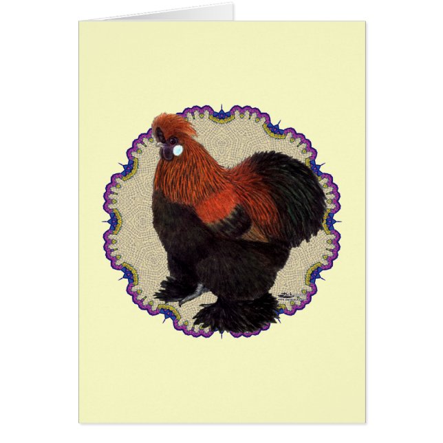 シルキーサークル (正面)