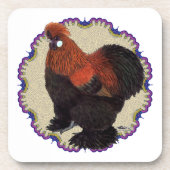 シルキーサークル コースター (正面)