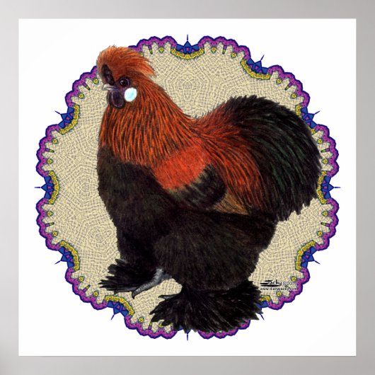 シルキーサークル ポスター (正面)