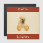 シルキーチキン変冷蔵庫磁石カード (正面/裏面)